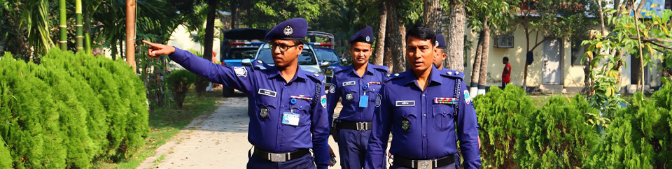 পরিদর্শন