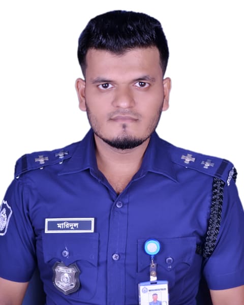 ন্যাশনাল পোর্টাল বিষয়ক কর্মশালা