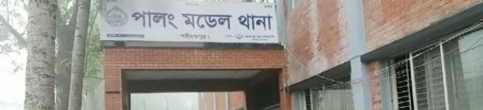 পালং মডেল থানা