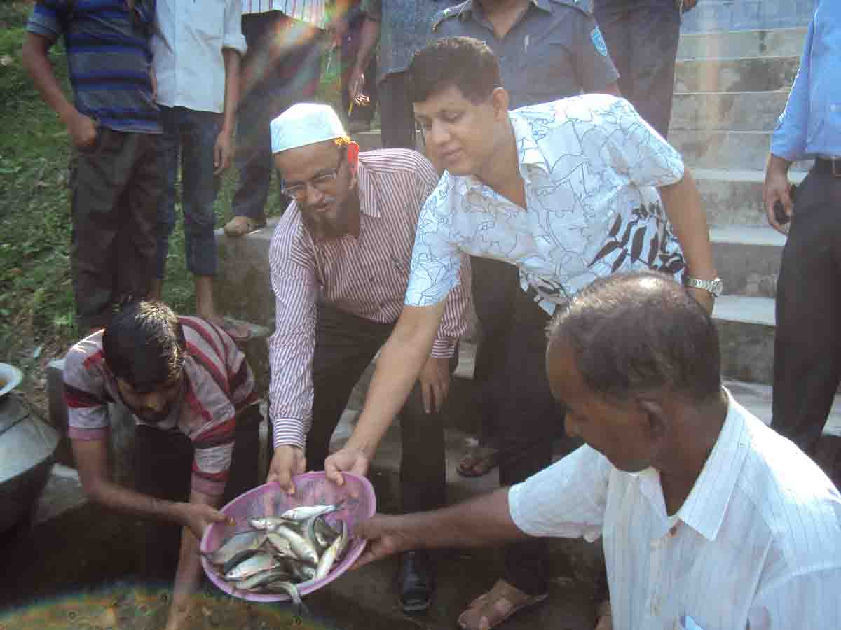 সাদুল্লাপুর থানার পুকুরে মাছের পোনা অবমুক্তকরণ