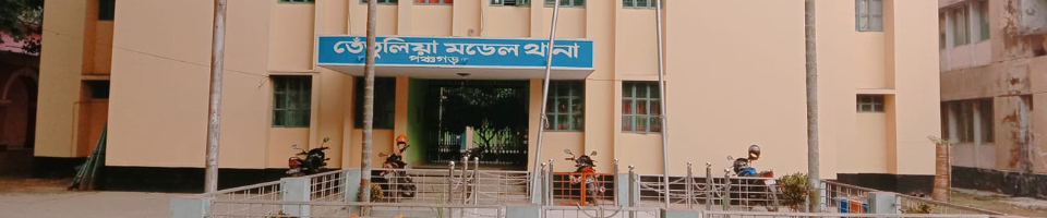 তেঁতুলিয়া মডেল থানা