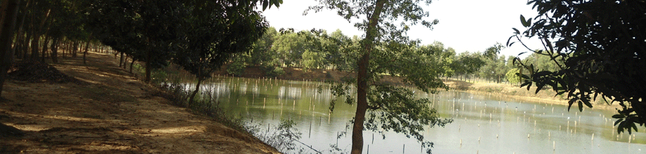গঙ্গাহার বিল