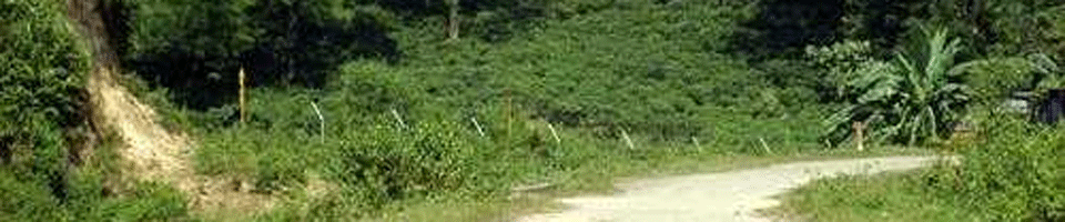 ৭নং পলিপ্রয়াগপুর ইউ,পি পরিচিতি