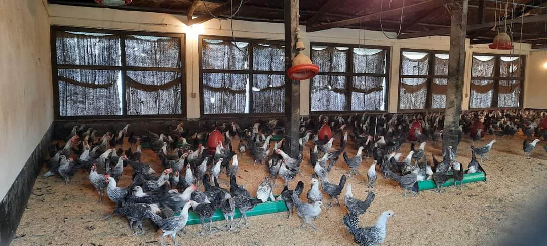 ফটোগ্যালারিতে প্রবেশ করুন