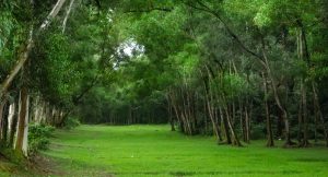 আলতাদিঘী জাতীয় র্পাক