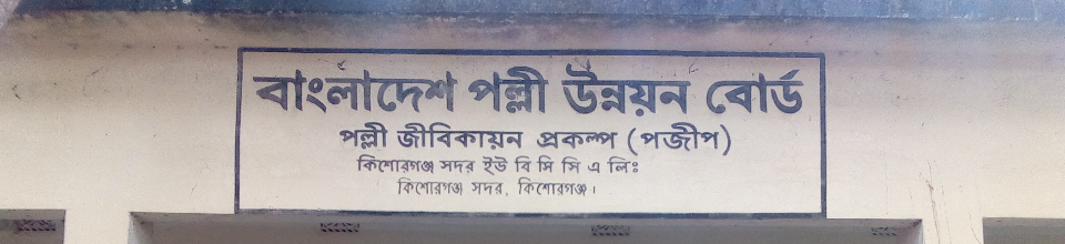 পল্লী জবীকায়ন