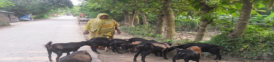 উপকার ভোগির প্রকল্প