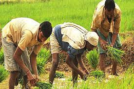 জীবিকায়ন