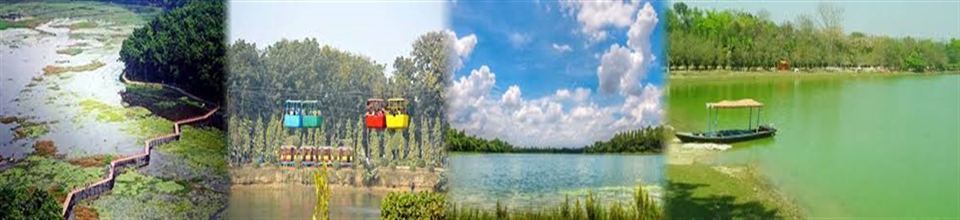 পুকুর