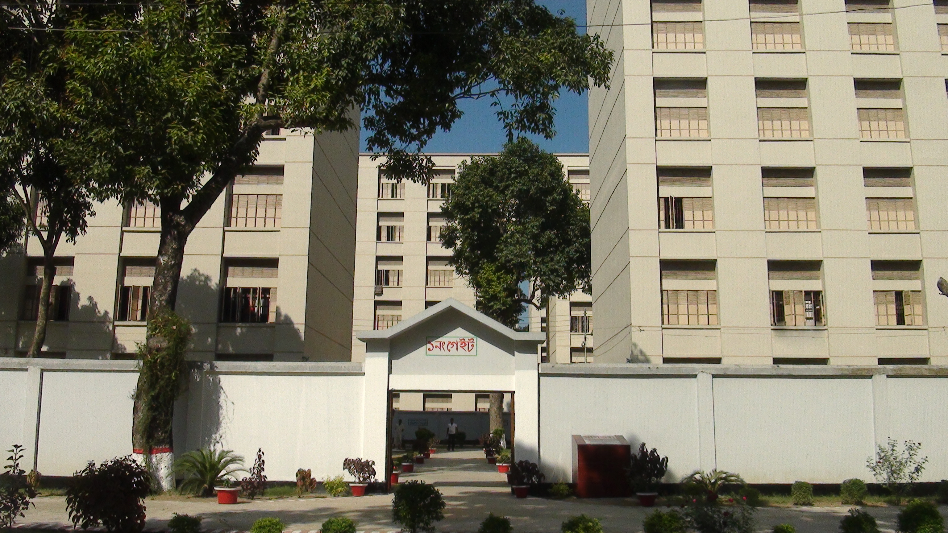 Advertisement Block
