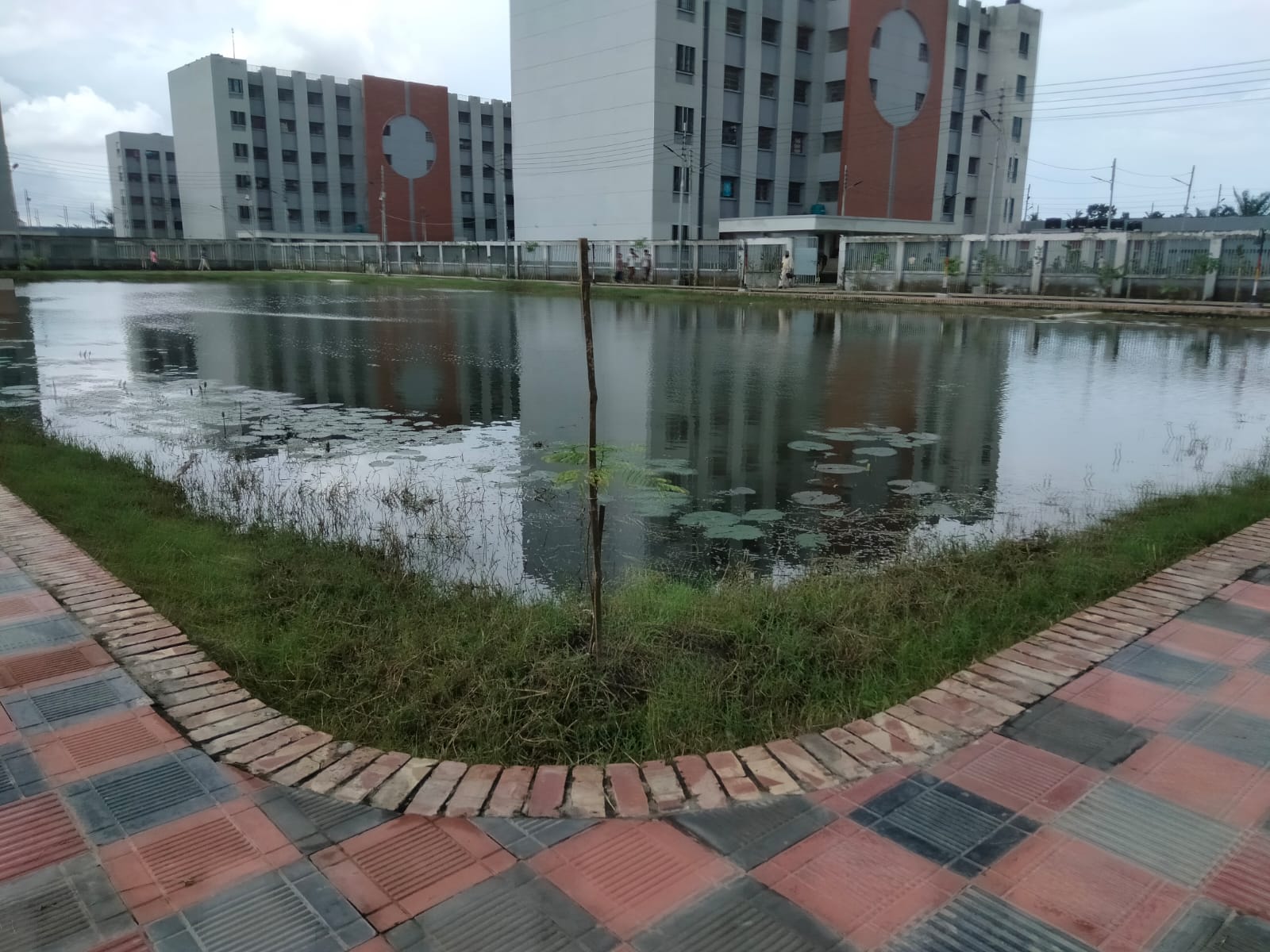 প্রকৃতির সান্নিধ্যে গড়ে ওঠা খুলনা নতুন জেলা কারাগার—যেখানে নিরাপত্তার পাশাপাশি গুরুত্ব দেওয়া হচ্ছে উৎপাদনশীলতা, পরিবেশ সংরক্ষণ এবং আত্মনির্ভরশীলতার ওপর।