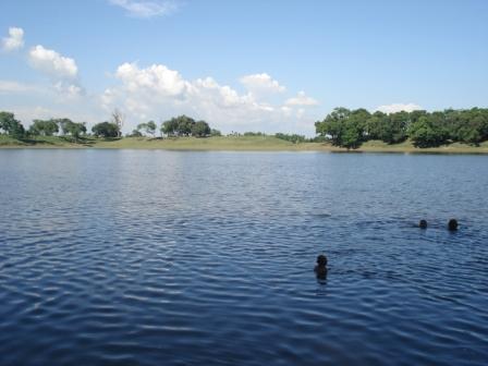 মহারাজার দিঘী