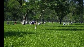 পঞ্চগড় এর দর্শণীয় স্থান