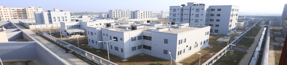 ব্যানার