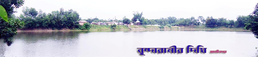বৃন্দারানীর দিঘি, আলীনগর
