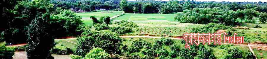 বুরহান নগর, শিকড়িয়া।