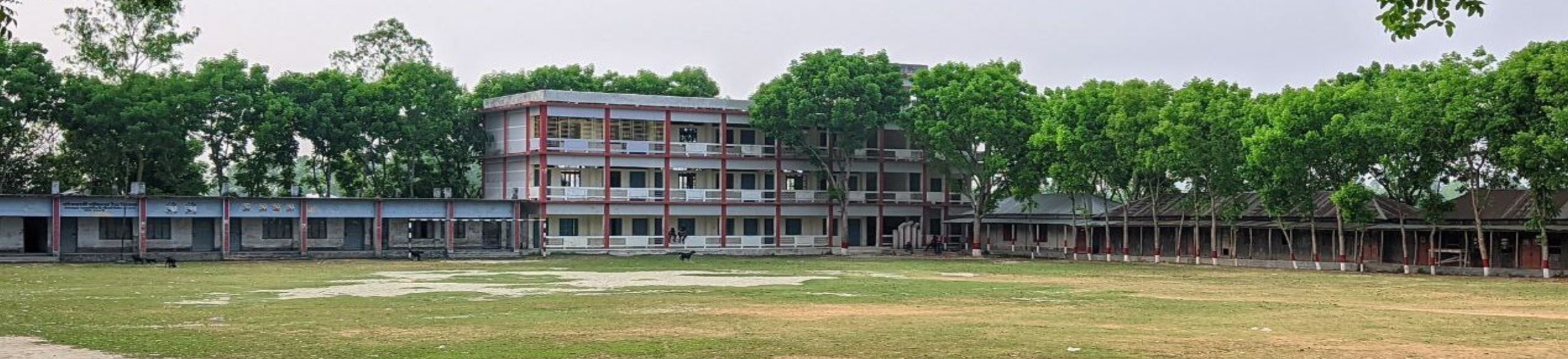 স্কুল ব্যানার ১