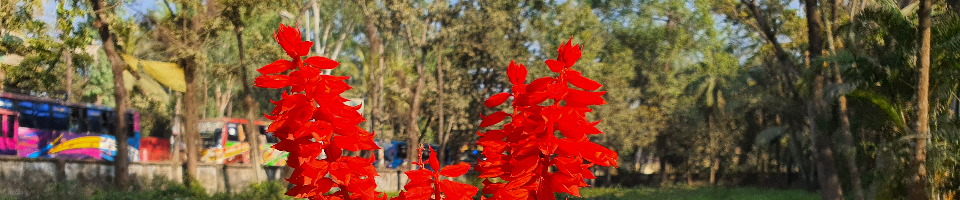 ব্যানার নম্বর ২