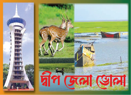 ভোলা কর্নার