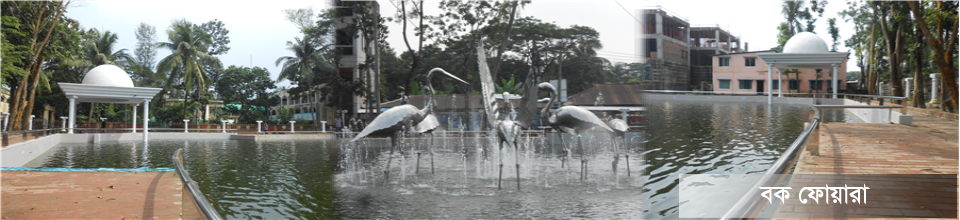 বক ফোয়ারা ভোলা