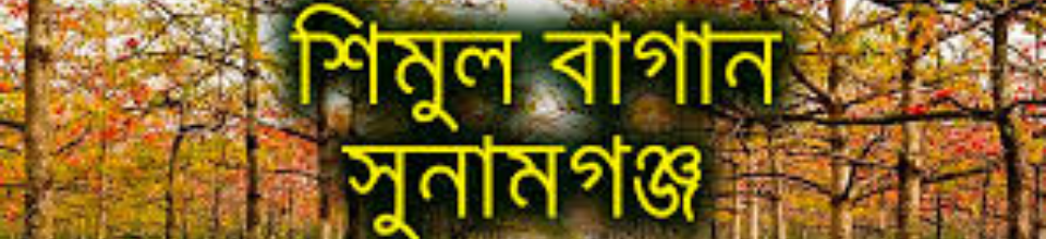 ব্যানার-১১ (শিমুল বাগান, সুনামগঞ্জ)