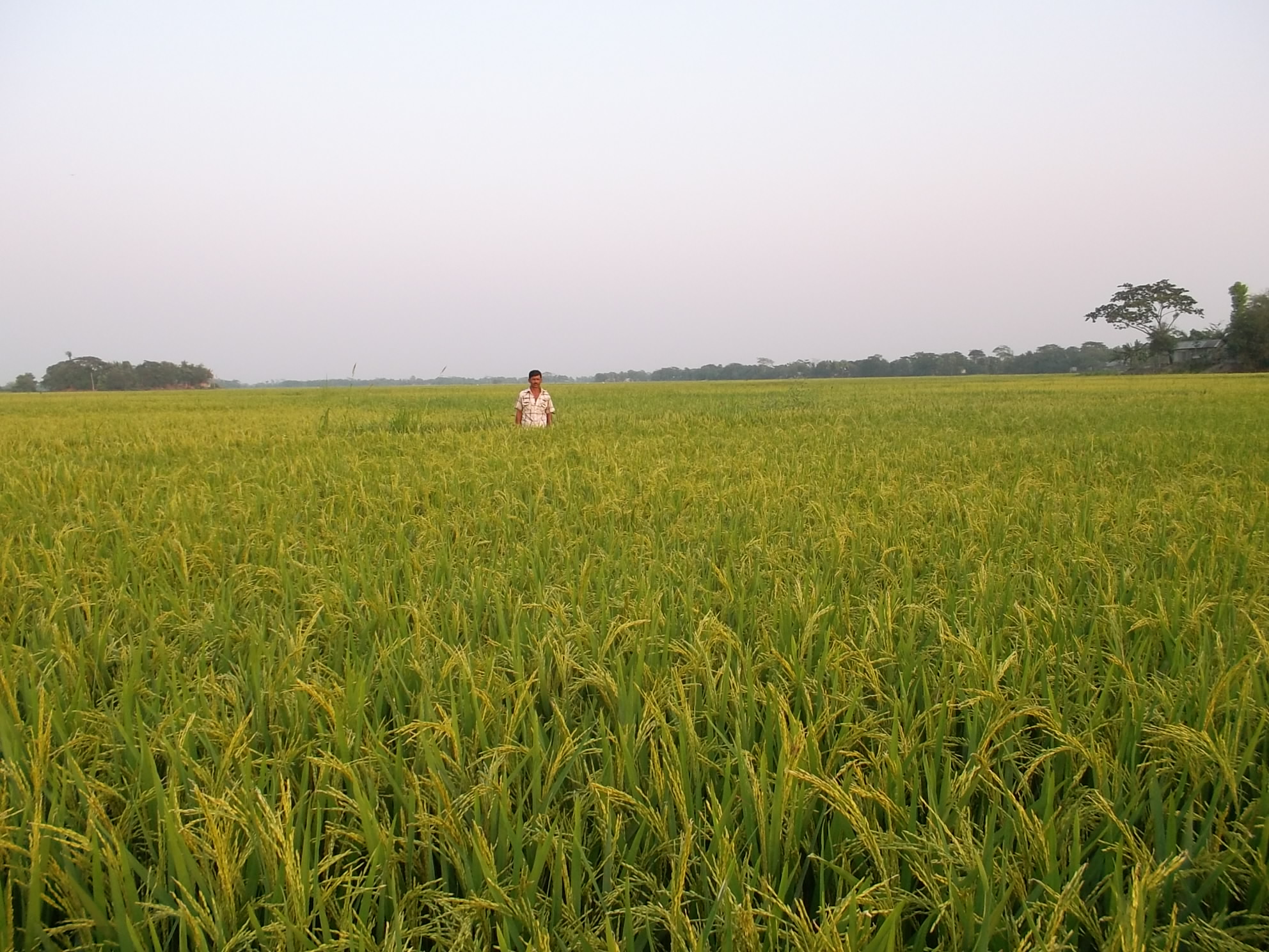 পুইশুর ইউনিয়নের ফটোগ্যালারী