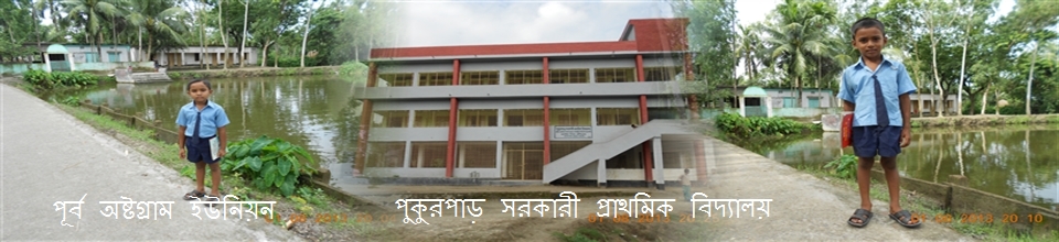 পুকুর পাড় স: প্রা: বিদ্যালয়