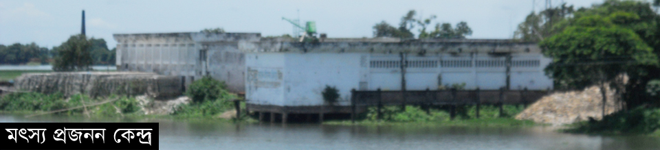 মৎস্য প্রজনন কেন্দ্র