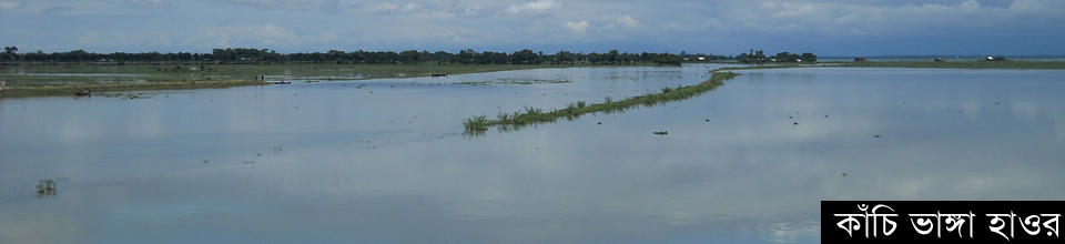কাঁচি ভাঙ্গা হাওর
