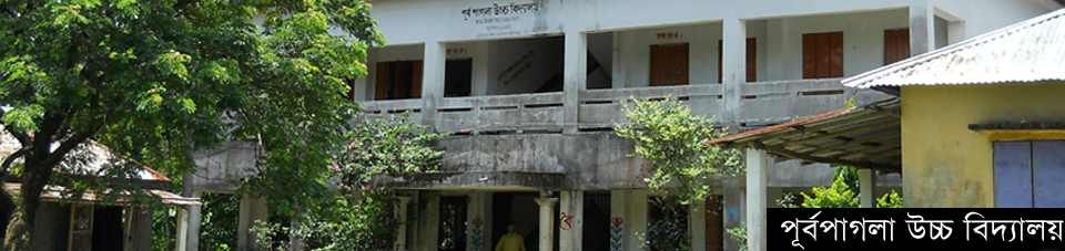 পূর্ব পাগলা উচ্চ বিদ্যালয়