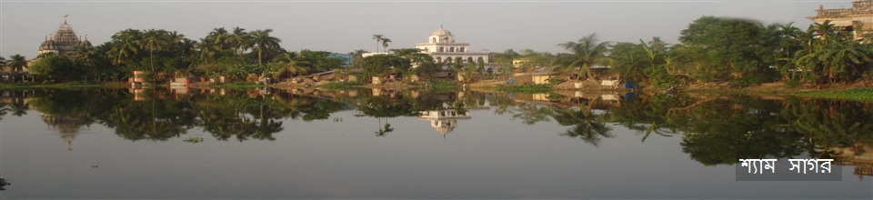 শ্যাম সাগর