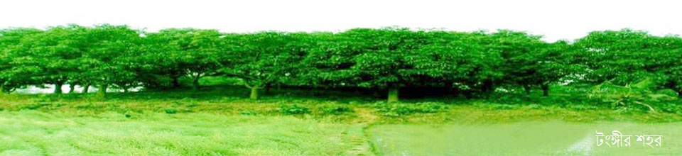 টংগী শহর