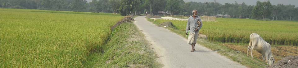 কৃষি ও যোগাযোগ ব্যবস্থা, পুটিমারী ইউনিয়ন