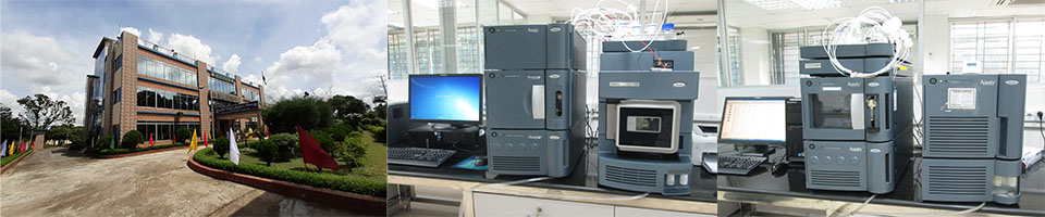 ব্যানার২