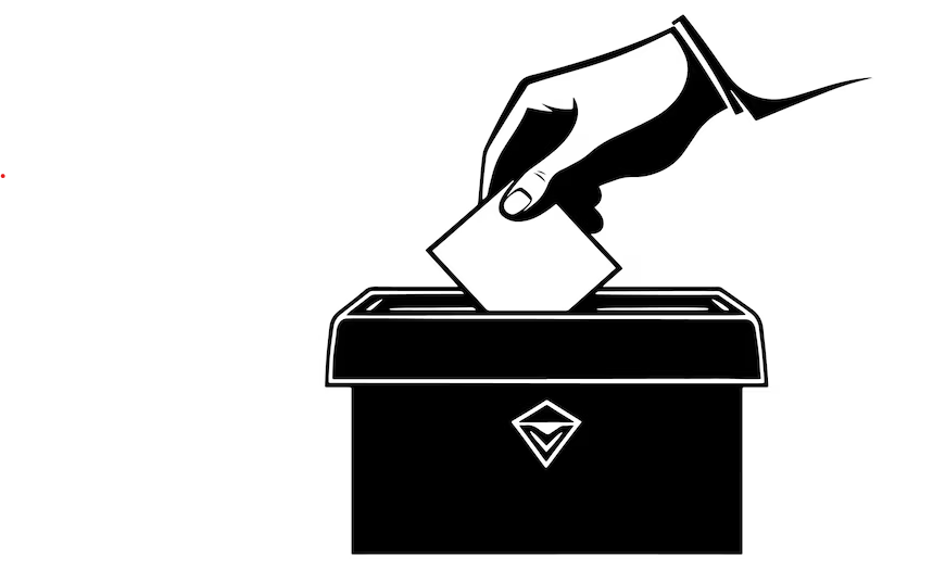 Out of Country Voting