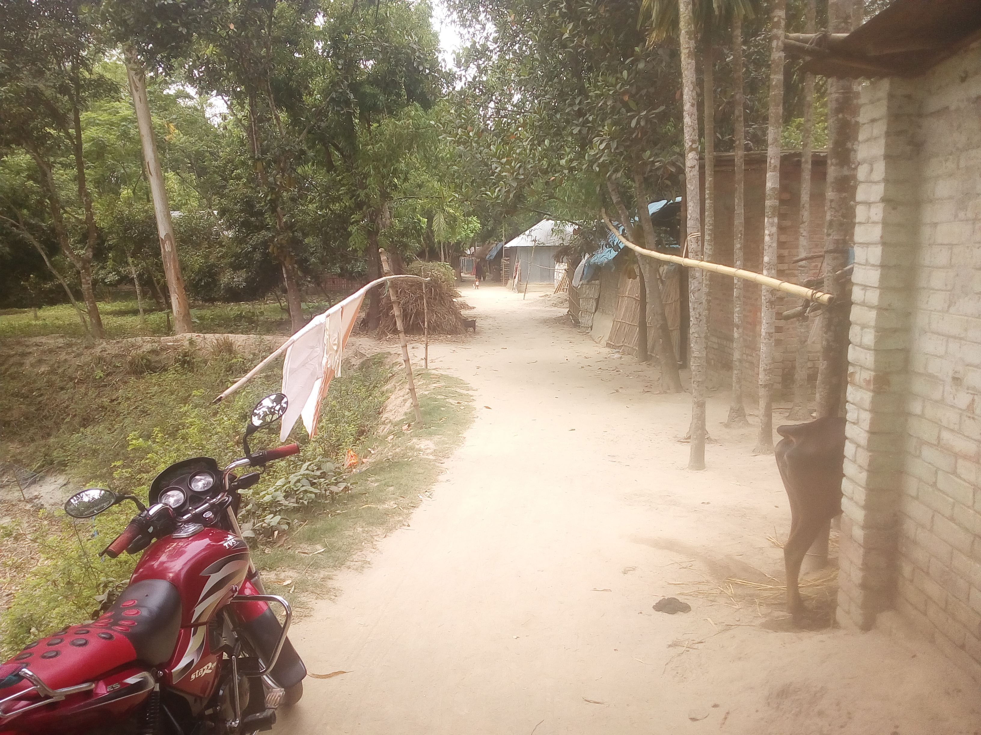 (স্কিম নং ১১) ০৮ নং ওর্য়াড ছোটদাপ খড়গ এর দোকান থেকে পশ্চিমে শরৎ মাষ্টারের বাড়ি পর্যন্ত রাস্তায় সিসি ঢালাই ( পাকাঁকরন) প্রকল্প।