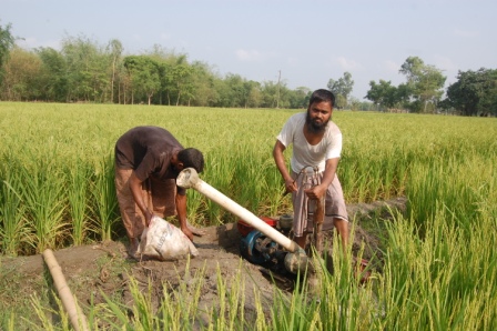 কৃষি ও প্রাণিসম্পদ