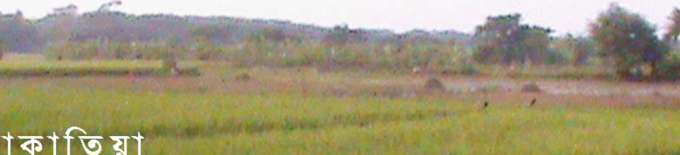 রঘুনাথপুর ইউনিয়ন