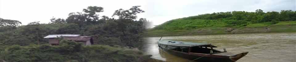 প্রকৃতি
