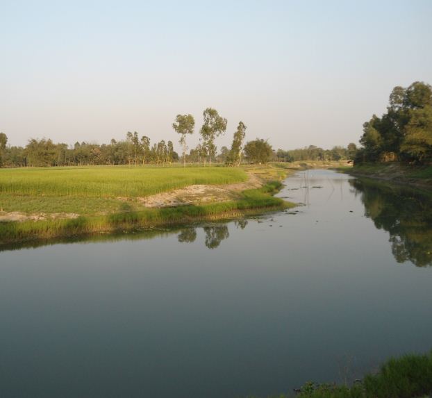 বিবিধ