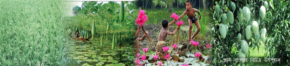 গ্রাম বাংলার উৎপাদিত পণ্য