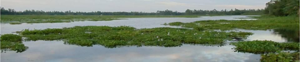 রাইপাড়া ইউনিয়ন