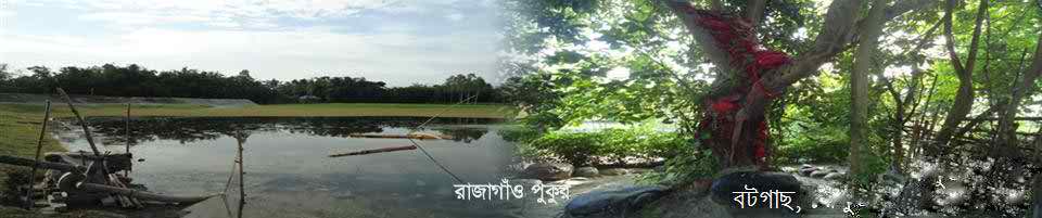 রাজাগাঁও পুকুর ও বট গাঁছ।