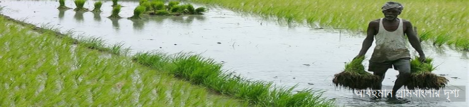 আবহমান গ্রামবাংলার দৃশ্য