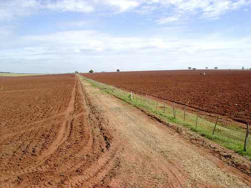 স্থানীয় সরকার প্রকৌশল