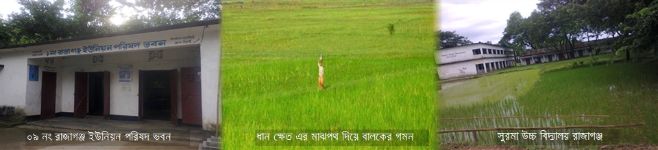 ০৯ নং রাজাগঞ্জ ইউনিয়ন পরিষদ ভবন,ধান ক্ষেত এর মাঝপথ দিয়ে বালকের গমন,সুরমা উচ্চ বিদ্যালয় রাজাগঞ্জ