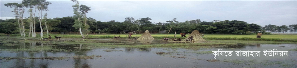 কৃষিতে রাজাহার