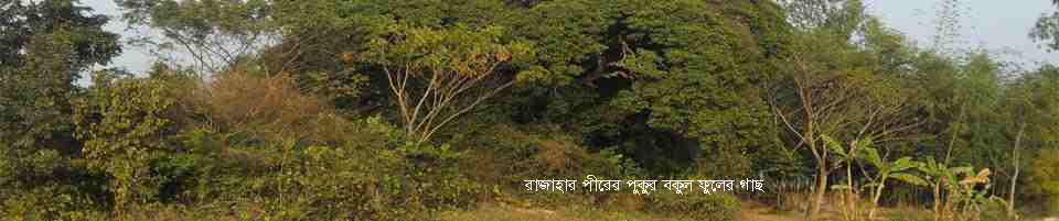 রাজাহার ইউনিয়ন প্রাকৃতিক দৃশ্য