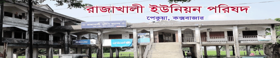 রাজাখালী ইউনিয়ন পরিষদ ছবি