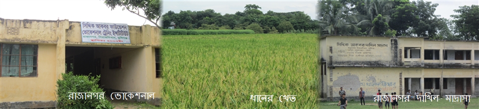 স্কুল